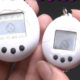 Vuelven los Tamagotchi, relanzan versión de 1996