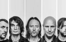 Una nueva hormiga fue descubierta y nombrada en honor a Radiohead