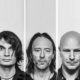 Una nueva hormiga fue descubierta y nombrada en honor a Radiohead