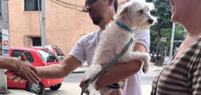 Los bellos reencuentros de la gente y sus mascotas después del sismo