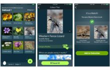 ¿Quieres conocer más de la naturaleza? Esta app te ayudará