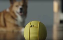 Llega Ballie, la competencia de Alexa